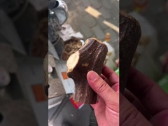 الأعشاب الطبية المقطعة